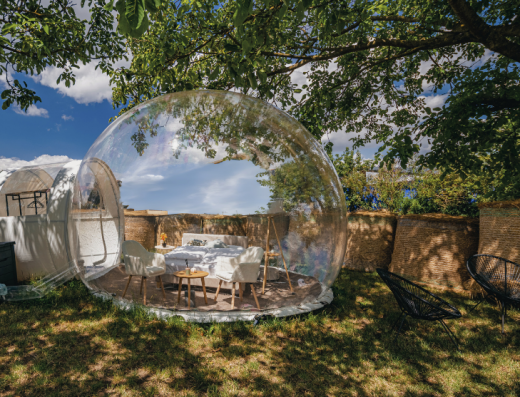 Bubble Tent Pfalz – Alpaka Al Capone