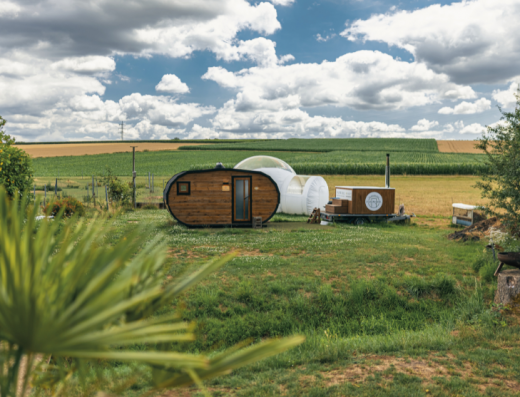 Bubble Tent Pfalz – Alpaka Alfonso