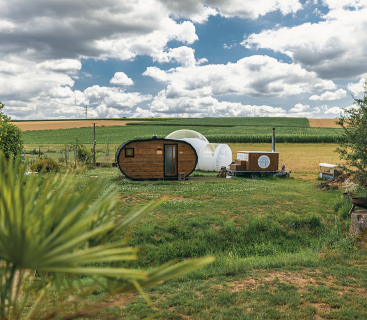 Bubble Tent Pfalz – Alpaka Alfonso