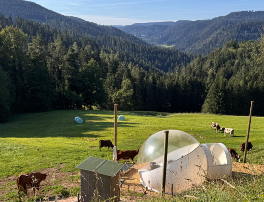Bubble Tent Schiltach