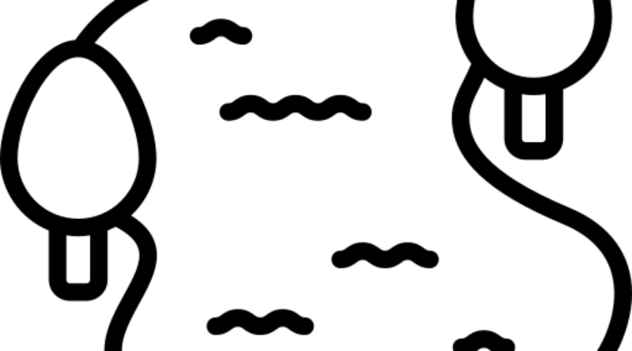 Seelage