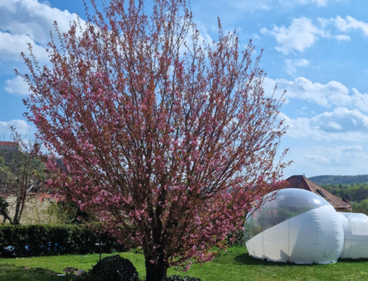 Bubble Tent Freyburg Weinperle